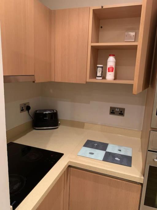 Stunning 2 Bed Flat! Centrally Located In London, Uk! Экстерьер фото